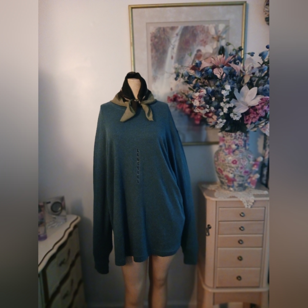 NWOT Size L Croft & Barrows Sweat Shirt